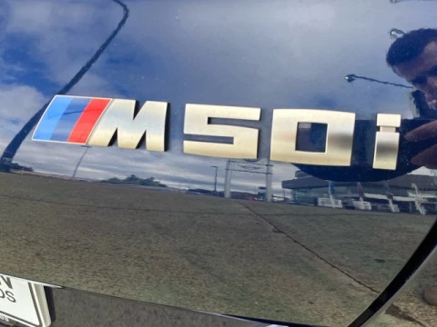 BMW X6 M50i 390 kW (530 CV)