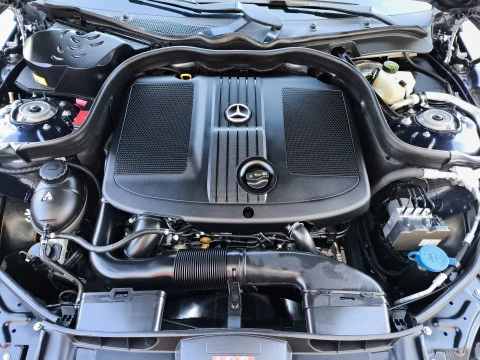 Mercedes-Benz Clase E E 220 BlueTEC Avantgarde 125 kW (170 CV)