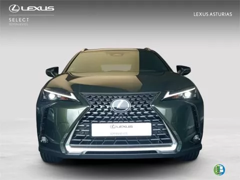 Lexus UX + Lexus UX +