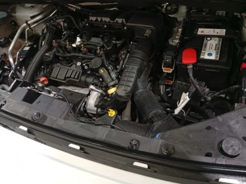 Opel Combo 1.5 TD 75kW (100CV) Express L H1 650kg