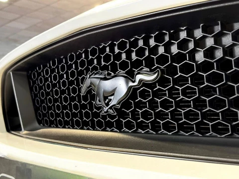 Ford Mustang Fastback GT 5.0 Ti-VCT V8 310 kW (421 CV)