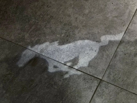 Ford Mustang Fastback GT 5.0 Ti-VCT V8 310 kW (421 CV)