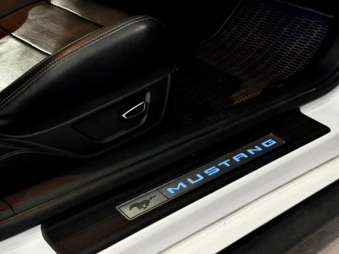 Ford Mustang Fastback GT 5.0 Ti-VCT V8 310 kW (421 CV)