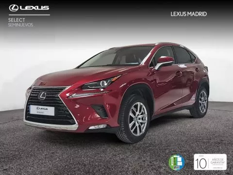 Lexus NX 2.5 300h Executive Navigation 4WD