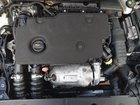 Opel Corsa 1.5D DT 74kW (100CV) Edition