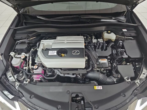 Lexus UX 2.0 250h Premium