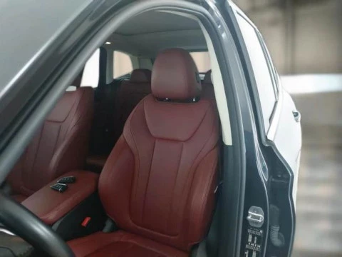 BMW X3 xDrive30e xLine