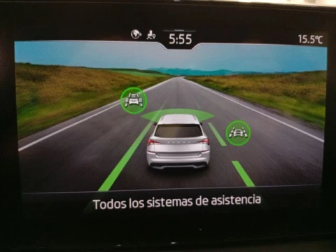 Skoda Kamiq 1.0 TSI 81kW (110CV) DSG Ambition