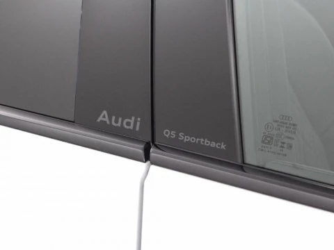 Audi Q5 2.0 E-HYBRID 220KW BLACK LINE S TR QUAT 299 5P