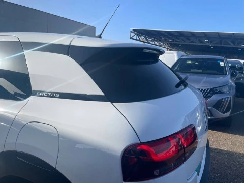 Citroën C4 Cactus BlueHDi 100 S&S Origins