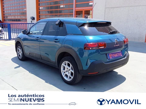 Citroën C4 Cactus PureTech 110 SANDS Feel 81 kW (110 CV)