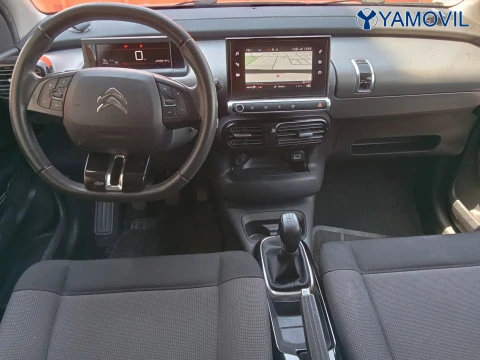Citroën C4 Cactus PureTech 110 SANDS Feel 81 kW (110 CV)