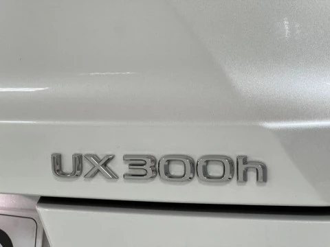 Lexus UX 2.0 300h UX Plus