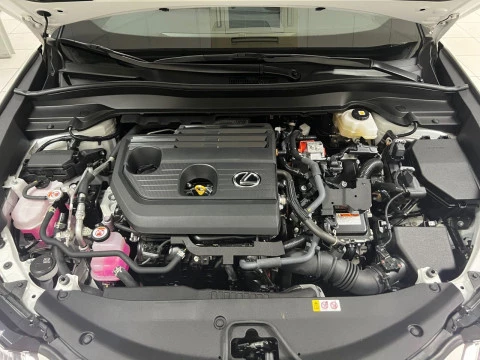 Lexus UX 2.0 300h UX Plus