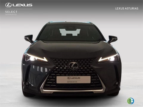 Lexus UX + Lexus UX +