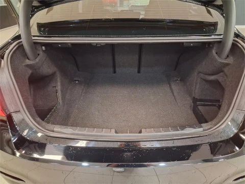 BMW Serie 3 318dA Business