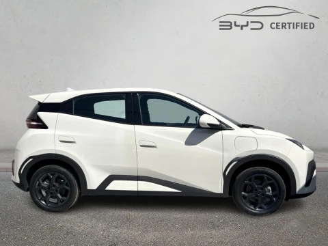 BYD DOLPHIN SURF Boost