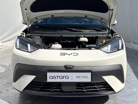 BYD DOLPHIN SURF Boost