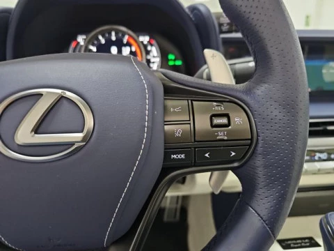 Lexus LC 5.0 V8 Bespoke Cabrio