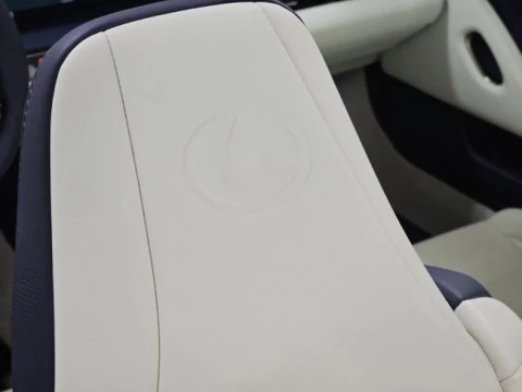 Lexus LC 5.0 V8 Bespoke Cabrio