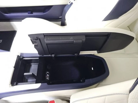 Lexus LC 5.0 V8 Bespoke Cabrio