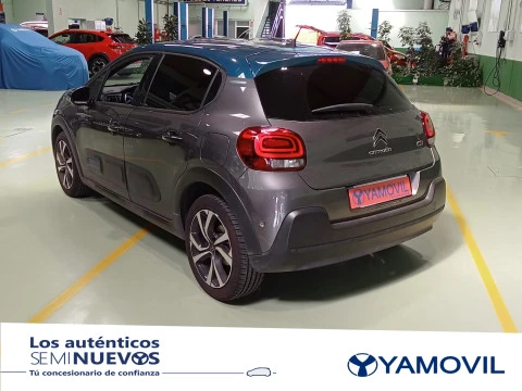 Citroën C3 BlueHDi 100 SANDS Shine 75 kW (102 CV)