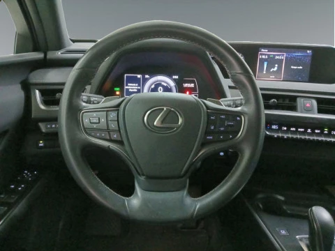 Lexus UX 300e Business