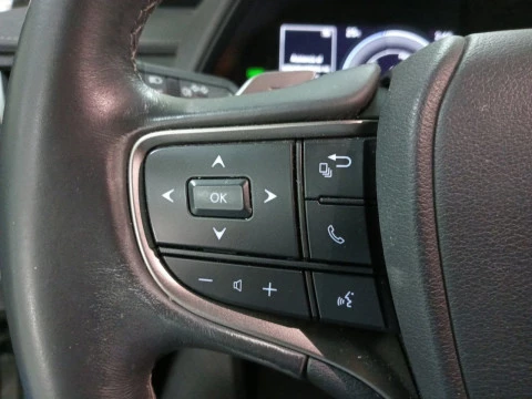 Lexus UX 300e Business