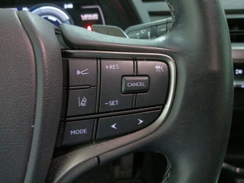 Lexus UX 300e Business