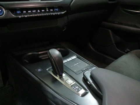 Lexus UX 300e Business