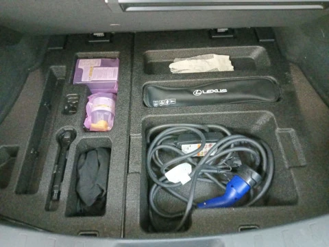 Lexus UX 300e Business