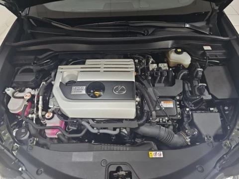 Lexus UX 2.0 250h Business