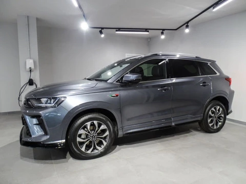 SWM G01F 1.5T Premium