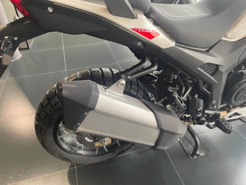 MORBIDELLI T1002 VX  vx