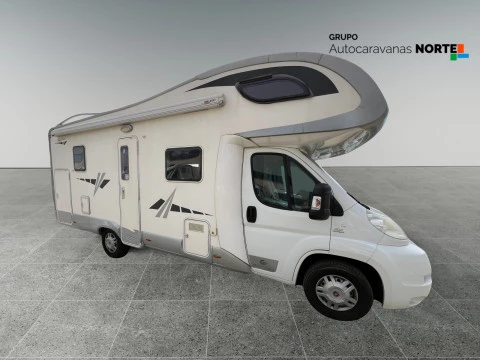 GIOTTILINE THERRY T41