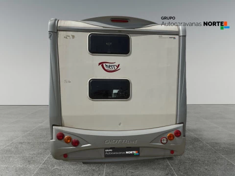 GIOTTILINE THERRY T41