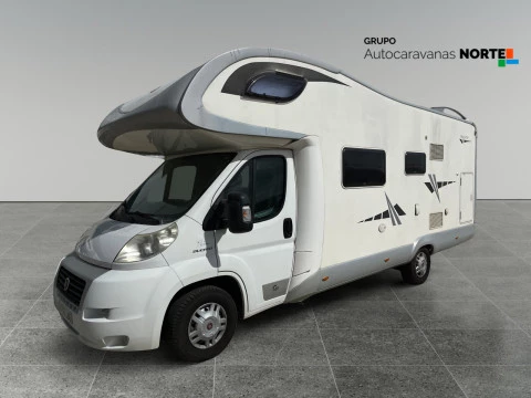 GIOTTILINE THERRY T41