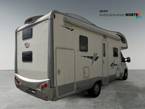 GIOTTILINE THERRY T41