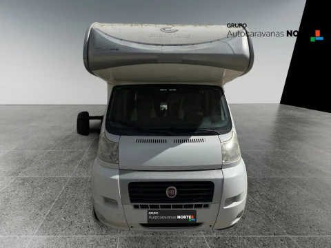 GIOTTILINE THERRY T41