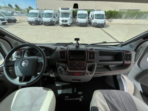 GIOTTILINE THERRY T41