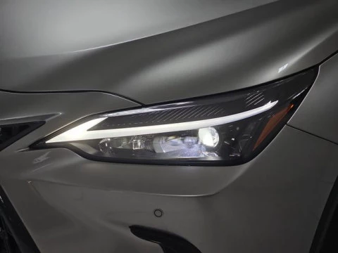 Lexus NX 350h Business City 2WD