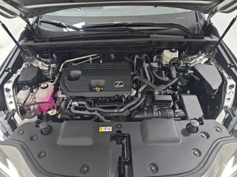 Lexus NX 350h Business City 2WD