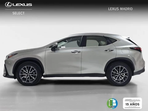 Lexus NX 350h Business City 2WD
