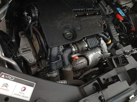 Citroën Berlingo Talla M BlueHDi 55kW