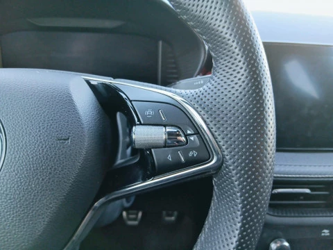 Skoda Fabia 1.0 TSI 81KW (110CV) Monte Carlo