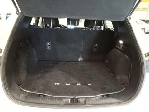 Ford Kuga Titanium 2.0 EcoBlue MHEV 110kW (150CV)