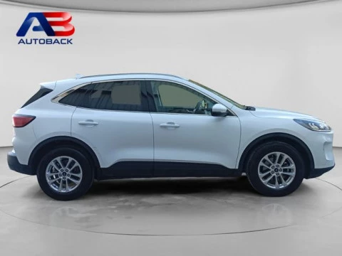 Ford Kuga Titanium 2.0 EcoBlue MHEV 110kW (150CV)