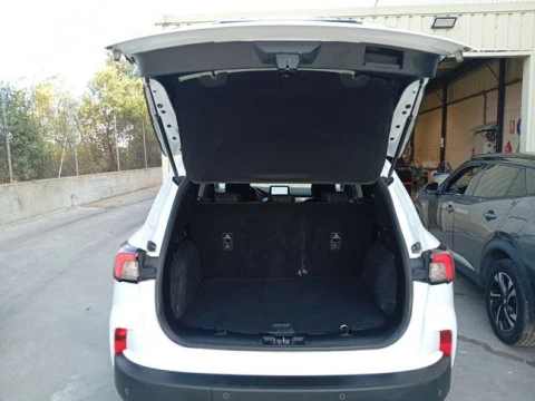 Ford Kuga Titanium 2.0 EcoBlue MHEV 110kW (150CV)