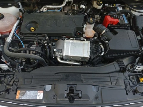 Ford Kuga Titanium 2.0 EcoBlue MHEV 110kW (150CV)