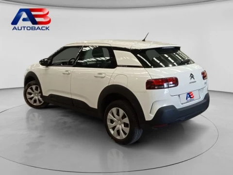 Citroën C4 Cactus BlueHDi 100 S&S Live